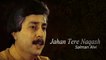 Salman Alvi - Jahan Tere Naqash - Pakistani Old Hit Songs