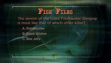 AnimalPlanet DVD River Monsters S02E00 Fish Files