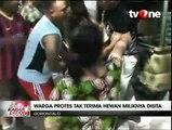Razia Hewan Liar oleh Satpol PP Gorontalo Diprotes Warga