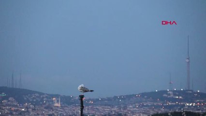 İstanbul İstanbul'da Dolunay Büyüledi