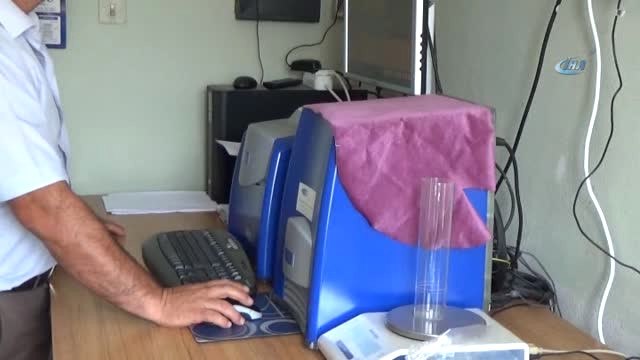 Yağlık Ayçiçeği Hasadı Başladı...verimin Düşük Olmasına Rağmen Üreticiler Fiyatlardan Umutlu