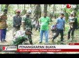 Warga Dibantu TNI Tangkap Buaya Muara Sepanjang 3 Meter