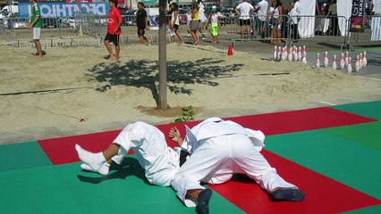 Judo, jujitsu, nos animateurs à votre service!