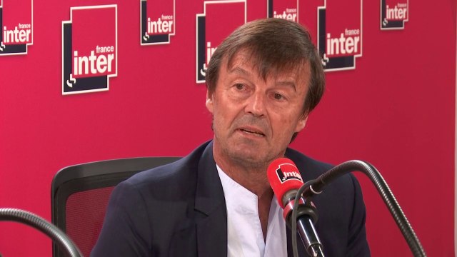 Nicolas Hulot raconte la présence du lobbyiste Thierry Coste lors de la réunion sur la chasse