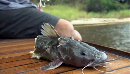 AnimalPlanet DVD River Monsters S02E00.12