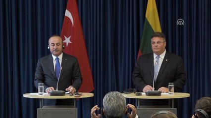 Çavuşoğlu-Linkevicius ortak basın toplantısı - VİLNİUS