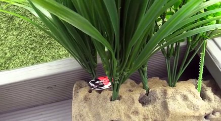 The RedWigWam Booking Platform