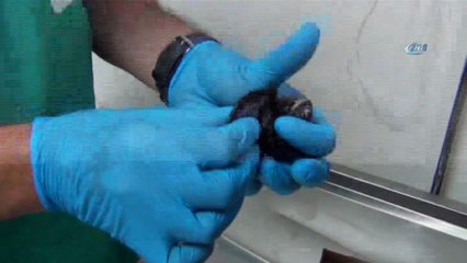 Kapıya sıkışan ebabili 6 yaşındaki çocuk kurtardı