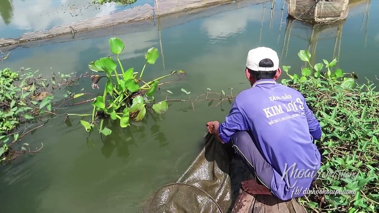 ĂN GÌ Ở BÚNG BÌNH THIÊN? Đặc sản Miền Tây, du lịch An Giang