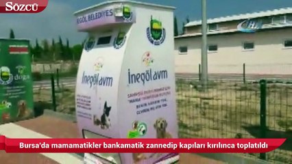 Bursa'da mamamatikler bankamatik zannedilerek kapıları kırılınca toplatıldı