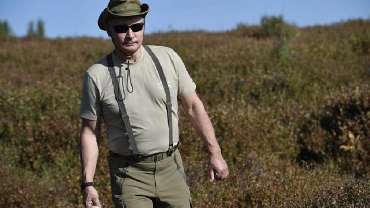 Im Khaki-Outfit durch die Wildnis: Putins Sibirien-Sommerurlaub 2018 (Video)