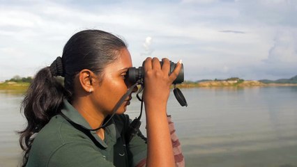 Swimming Elephants of Gal Oya