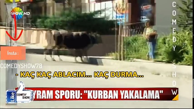 Türkiye'de Kurban Bayramı -34 (EN KOMİK)