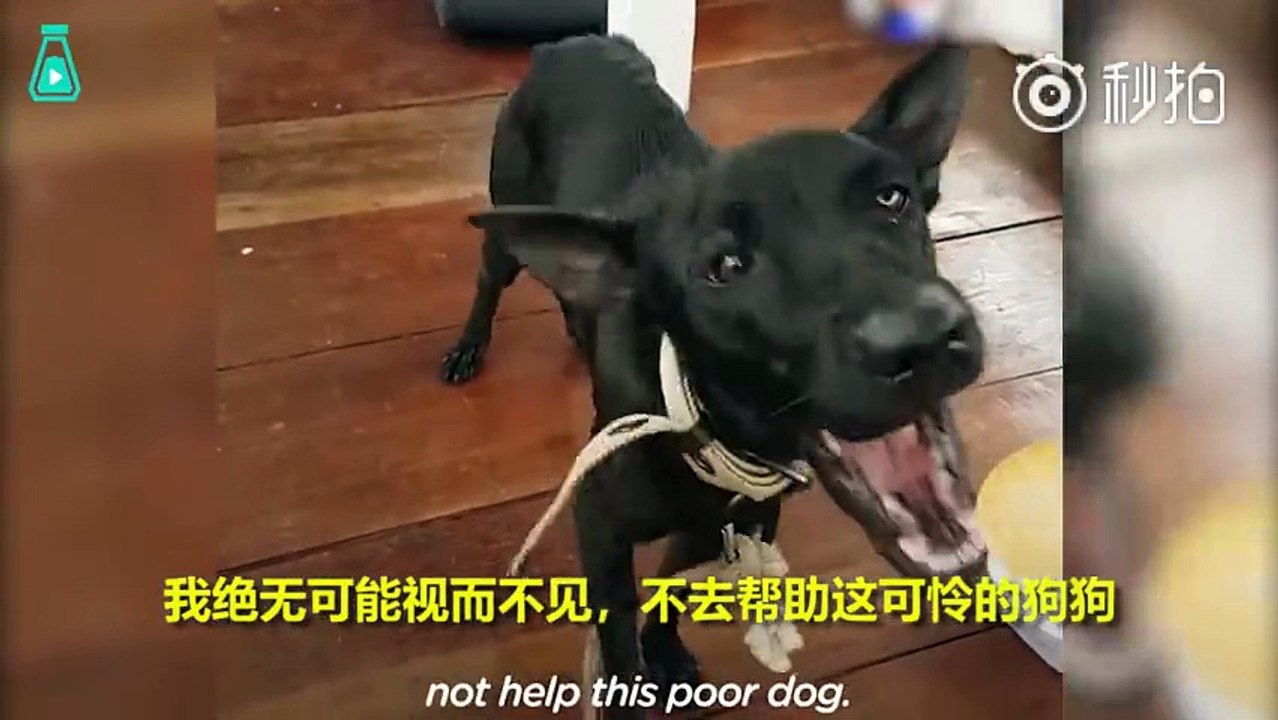 60520