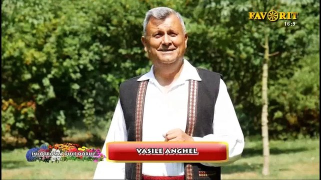 Vasile Anghel - Ce mai vreme de iubit (Incotro ma duce dorul - Favorit TV - 27.08.2018)