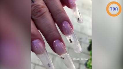 Incroyable : des fourmis vivantes dans une manucure !