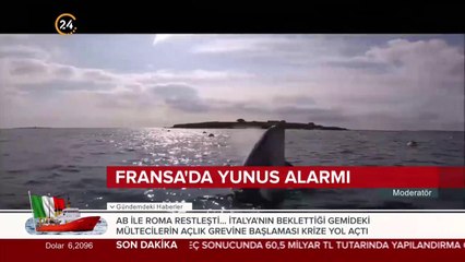 Fransa'da yunus alarmı