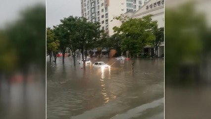 한 시간 65㎜ 폭우에 대전 도로 마비 / YTN