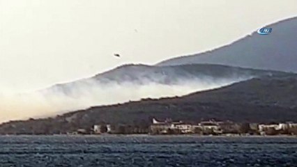 Erdek çöplüğündeki yangın ormana sıçradı