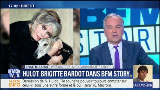 Pour Brigitte Bardot, Nicolas Hulot n'a rien fait au gouvernement