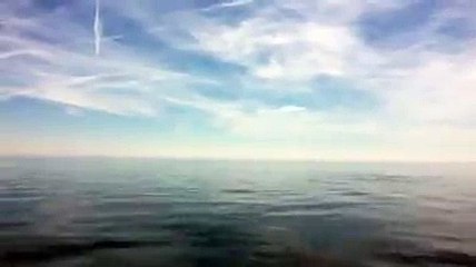 SOUND ONThere's not many places in the world where you can hear the blowhole of a whale and the whistle of a steam train at the same time!Thank you Philip a