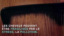 Top 3 des aliments bénéfiques aux cheveux