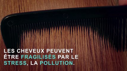 Top 3 des aliments bénéfiques aux cheveux