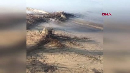 Muğla Sakin Şehir Unvanlı Akyaka'dan 2 Ton Çöp Topladılar