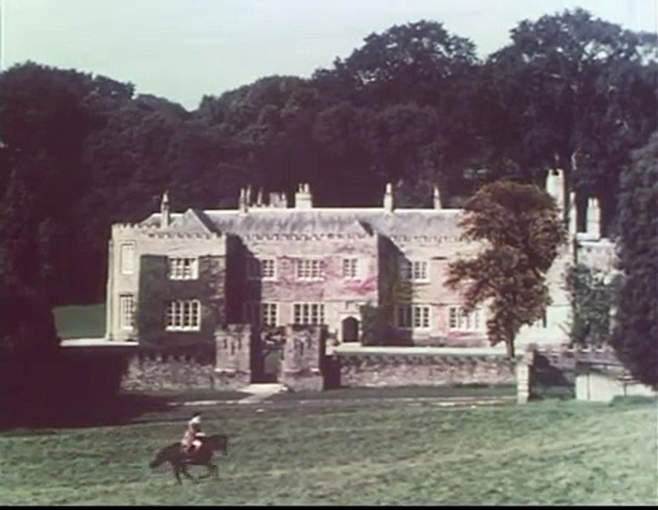 The Ash Tree