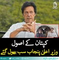 Imran khan's team members seem unwilling for change