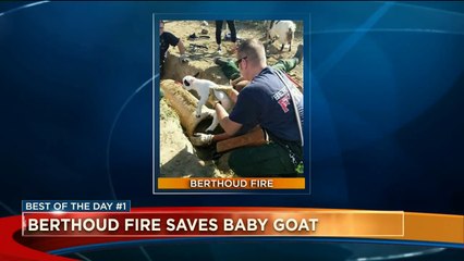 5-Day-Old Goat Rescued from Irrigation Pipe