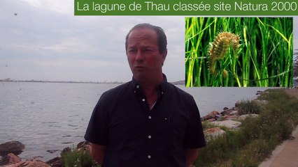 Yves Michel - Président du SMBT