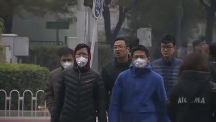 Pollution de l'air : l'Europe en procès