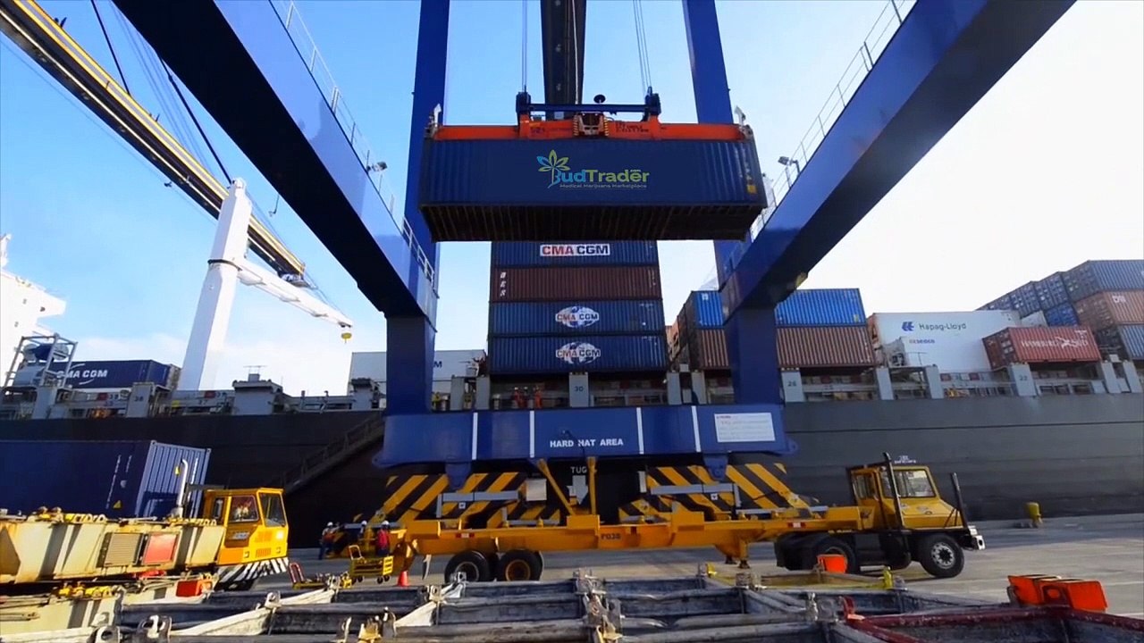 BT CARGO
