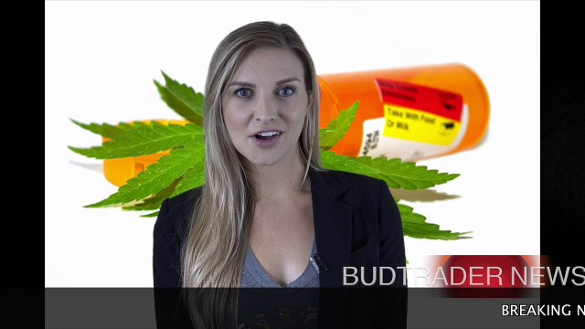 BT NEWS CO OPIOD 110117