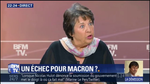 Corinne Lepage accepterait-elle de prendre la succession de Nicolas Hulot?