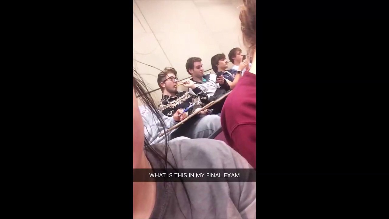 Pour la rentrée n'oubliez pas de prendre votre chat à la fac