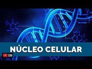 NÚCLEO CELULAR | Biologia