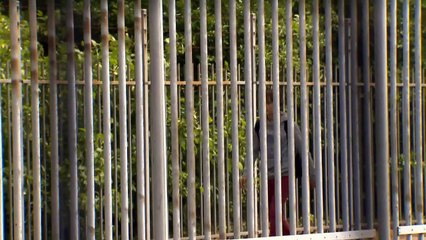 Brugklas Seizoen 01 Aflevering 11 - Pesten &  Inbreken