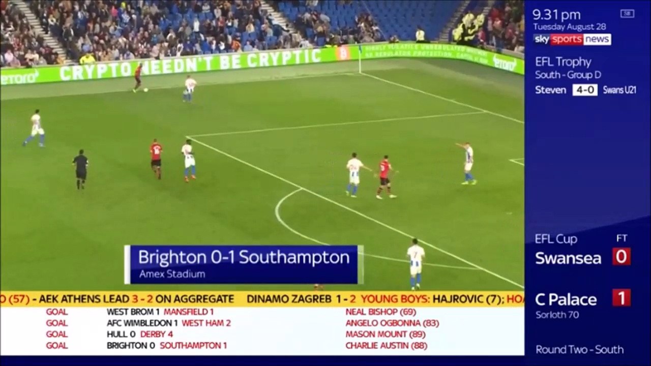 Charlie Austin Goal - Brighton 0-1 Southampton