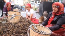 Fındığın Başkenti Giresun'da Fındık Festivali Düzenlendi