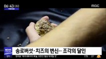 [투데이 영상] 송로버섯·치즈의 변신…조각의 달인