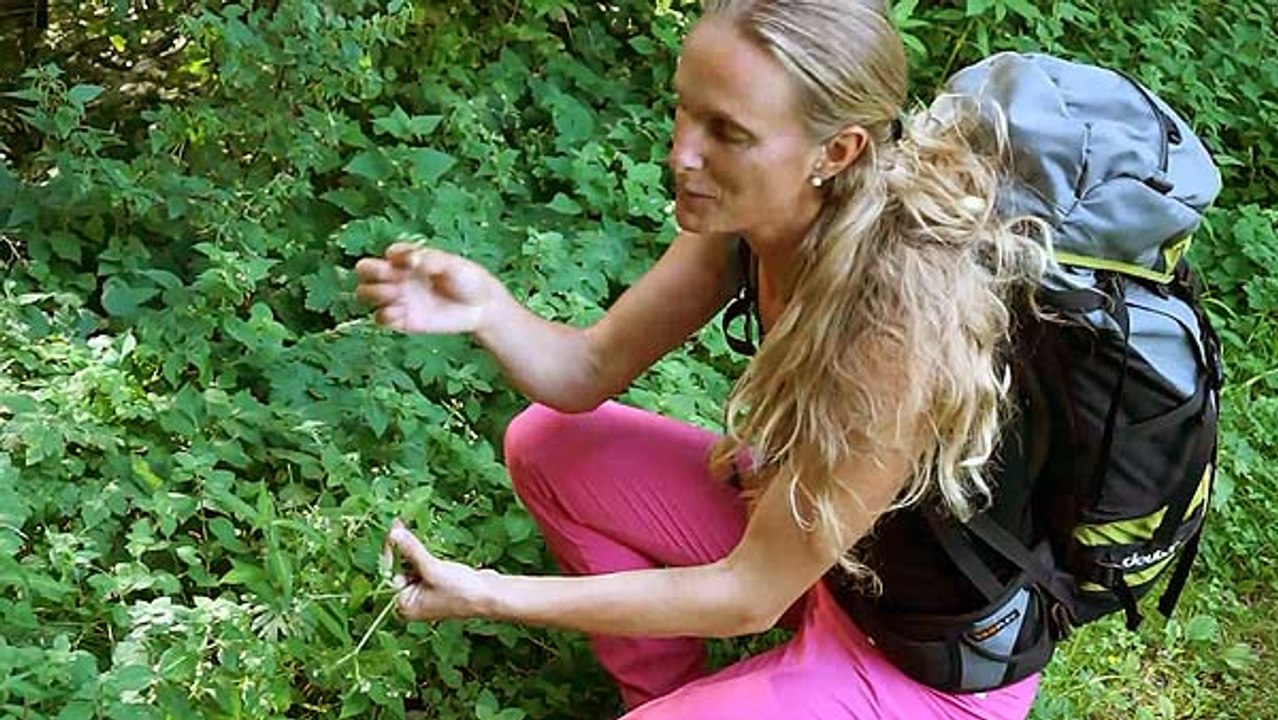 Faaker See – auf Einkaufstour im Kräuterwald