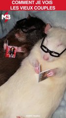 On connait tous un vieux couple exactement comme ça  via Newsflare