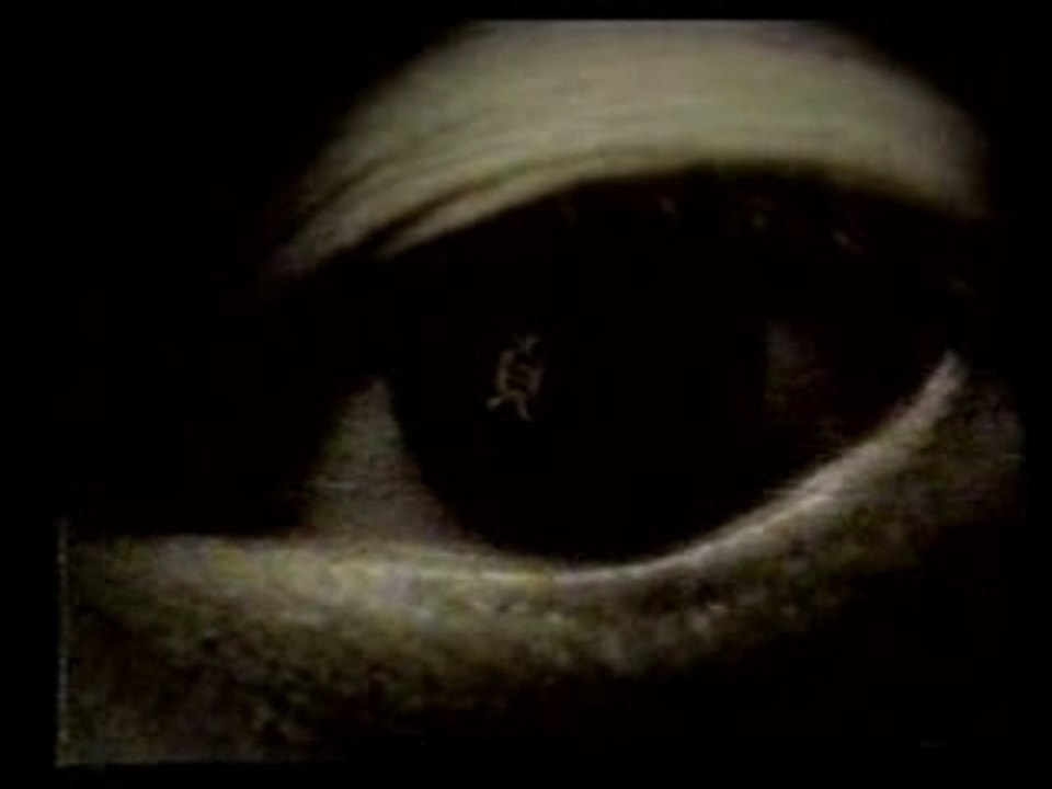 La VHS de Sadako