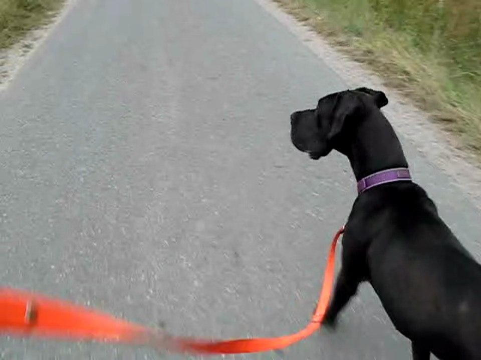 Hörst' das Luna? - Gewitter!