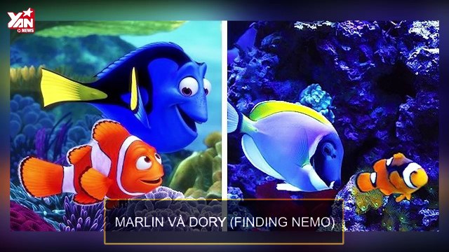 Những khoảng khắc hiếm hoi khi động vật cosplay nhân vật phim hoạt hình