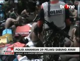 Aparat Polda Sulawesi Gerebek Judi Sabung Ayam, 29 Pelaku Diamankan