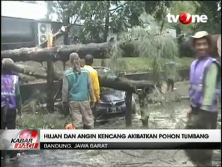 Pohon Tumbang Timpa Sejumlah Kendaraan dan Gedung di Bandung