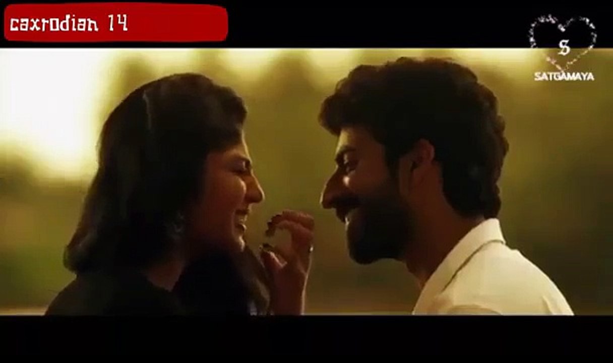 WhatsApp status